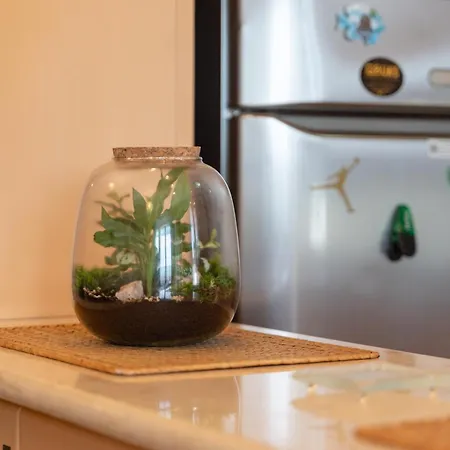 Casa Aurelia Διαμέρισμα