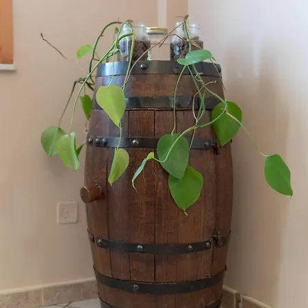 Casa Aurelia * 阿尔盖罗